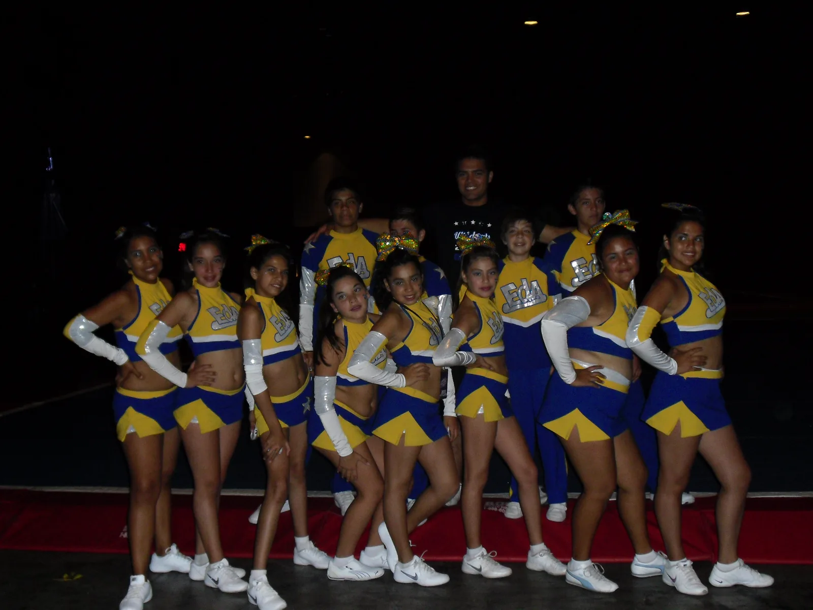 Primer evento temático y nuevos desafíos internacionales — 2011 (1 de 2)