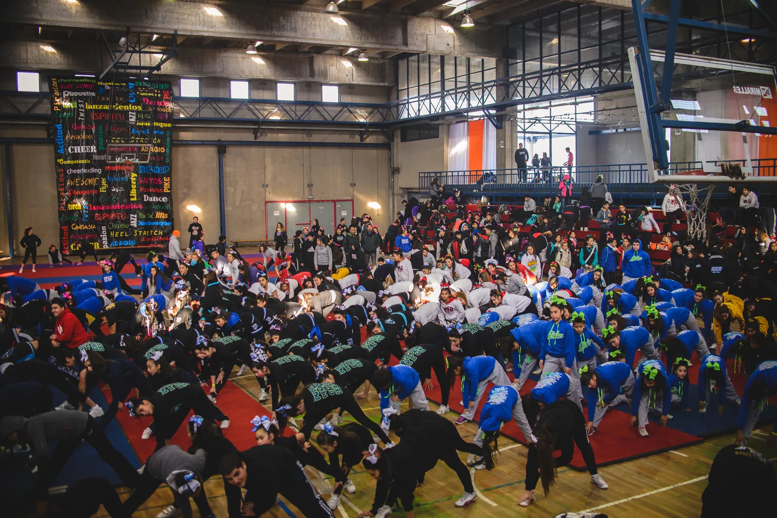 World Cup en Chile, Dagoberto Godoy a COA Ultimate y nace DanceClassic — 2014 (2 de 3)